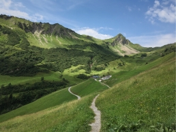 Typical Alpine mountain pasture landscape