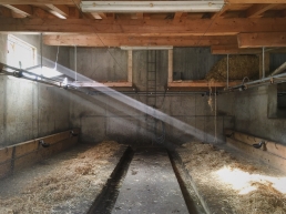 Small cowshed on a farmed alp.