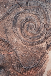 Detail eines großen Pithos aus Malia