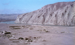 The site of Ai-Khanoum, important city of the Graeco-Bactrian kingdom and possible city foundation by Alexander the Great