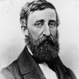 Henry David Thoreau in 1861