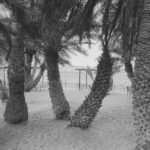 Palmenstrand von Vai